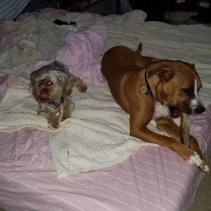 Meet your Posher, Donna